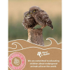 Planet Buddies Owl Bluetooth Speaker - - alt view 5